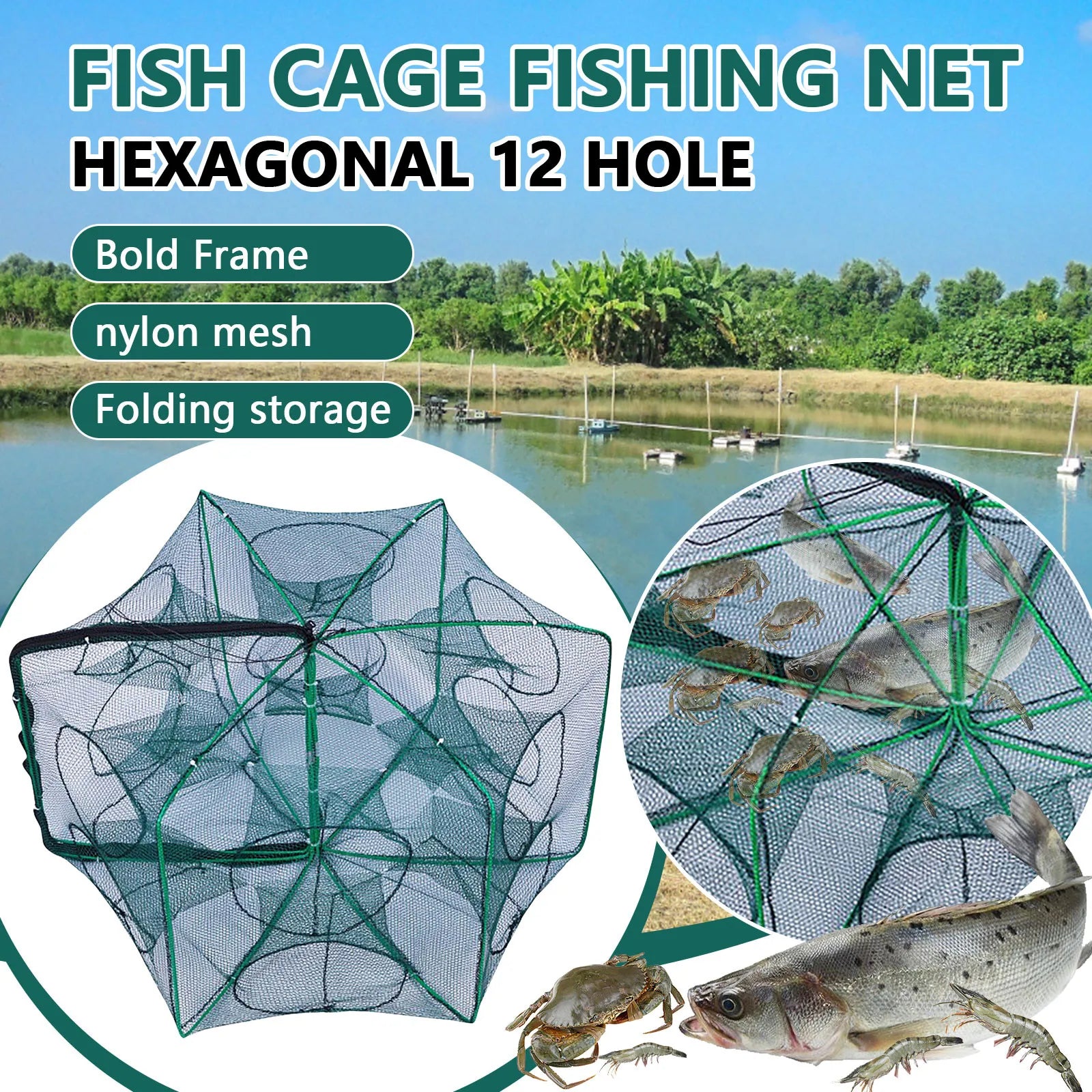 Folding lobster cage  new style