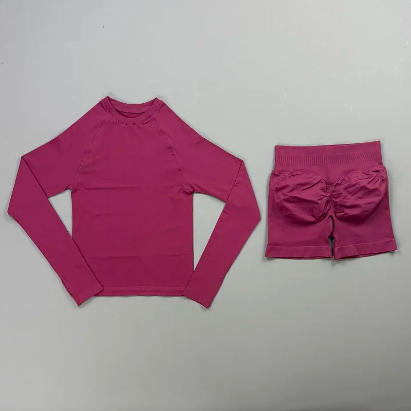 2Pcs Women Seamless Yoga Workout Set