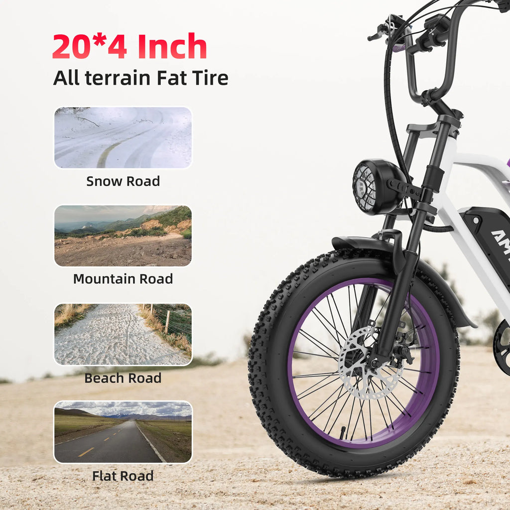 Adults Electric Bike 1000W Motor