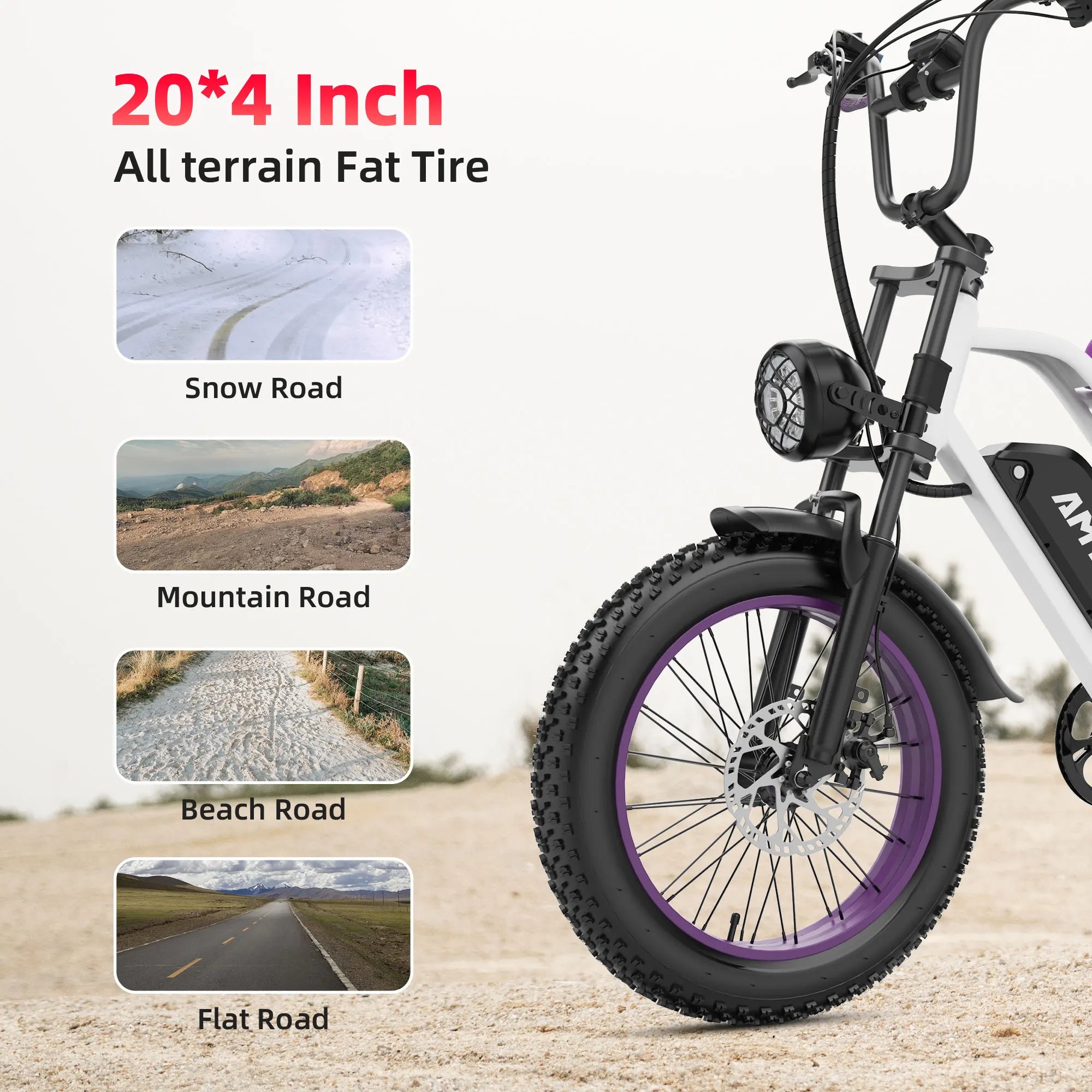 Adults Electric Bike 1000W Motor