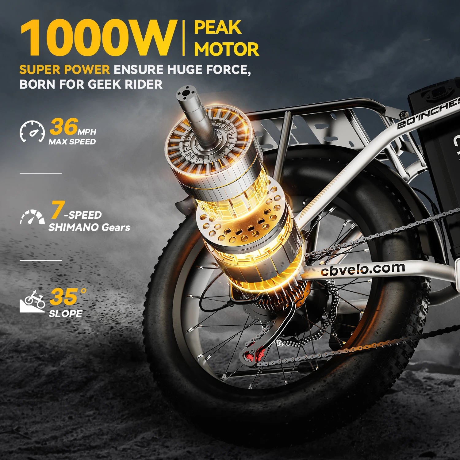 1000W Peak Electric Bike for Adults