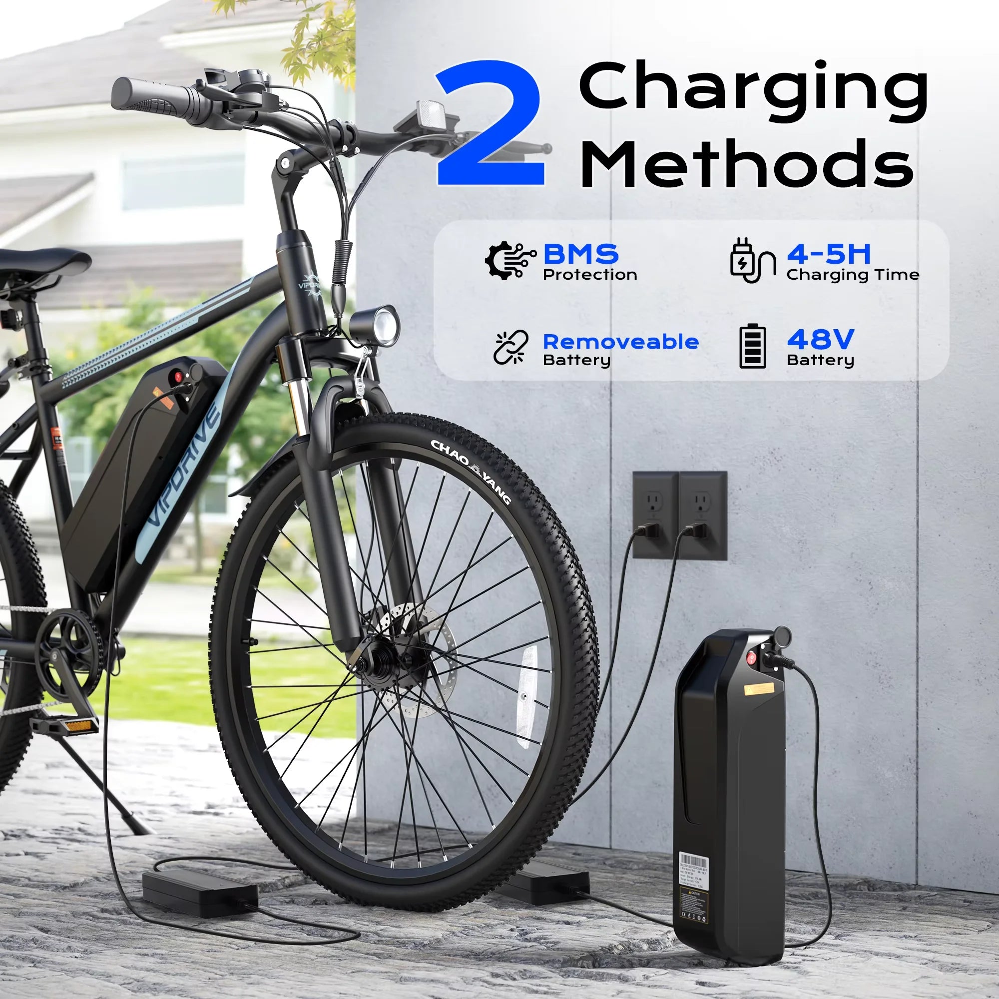 Adult Electric Bike, 750W Peak Motor