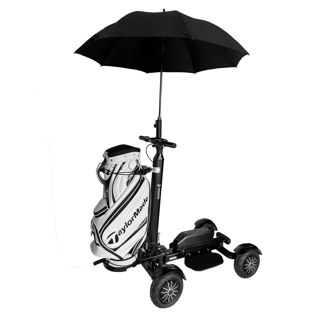 Electric Golf Cart 2400W