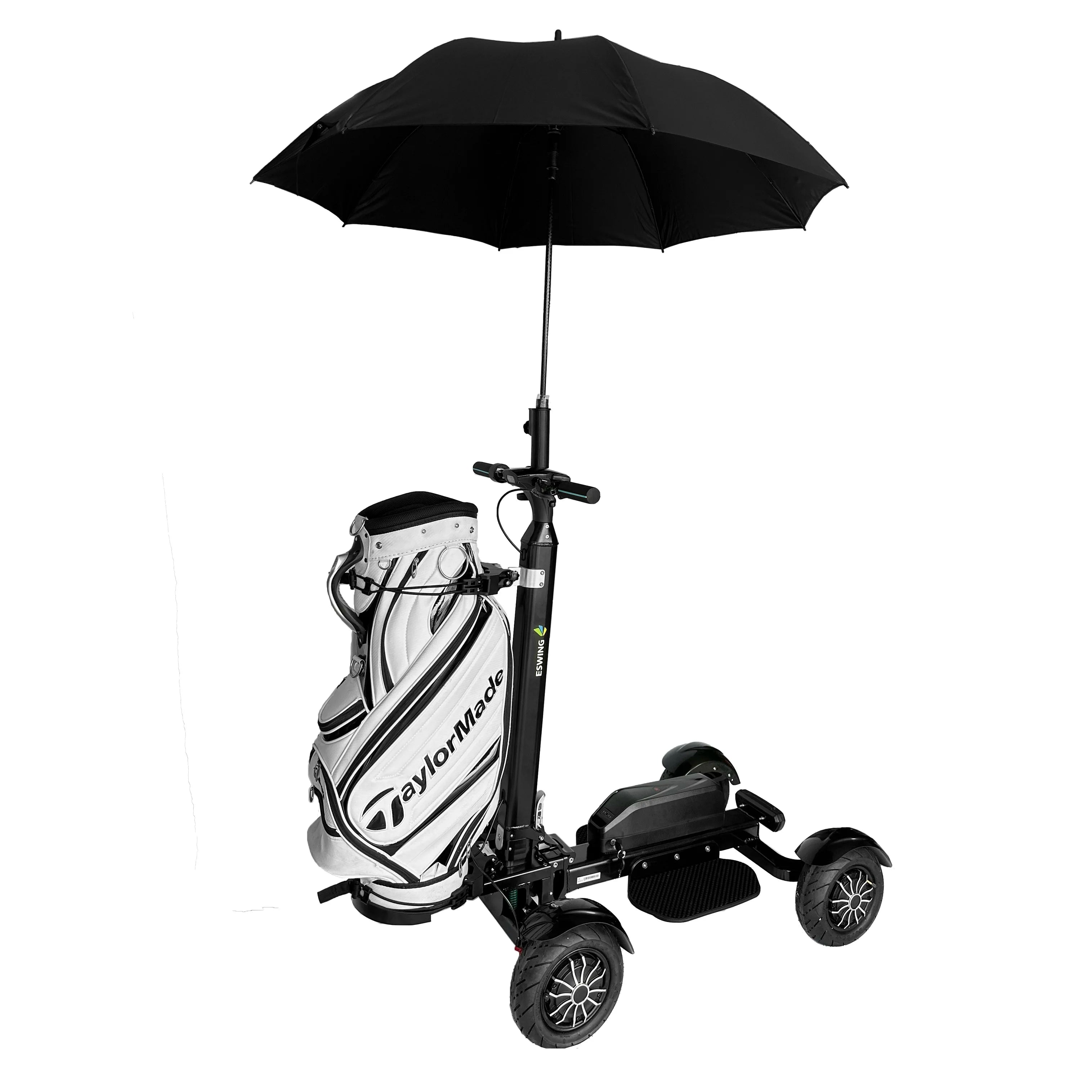 Electric Golf Cart 2400W