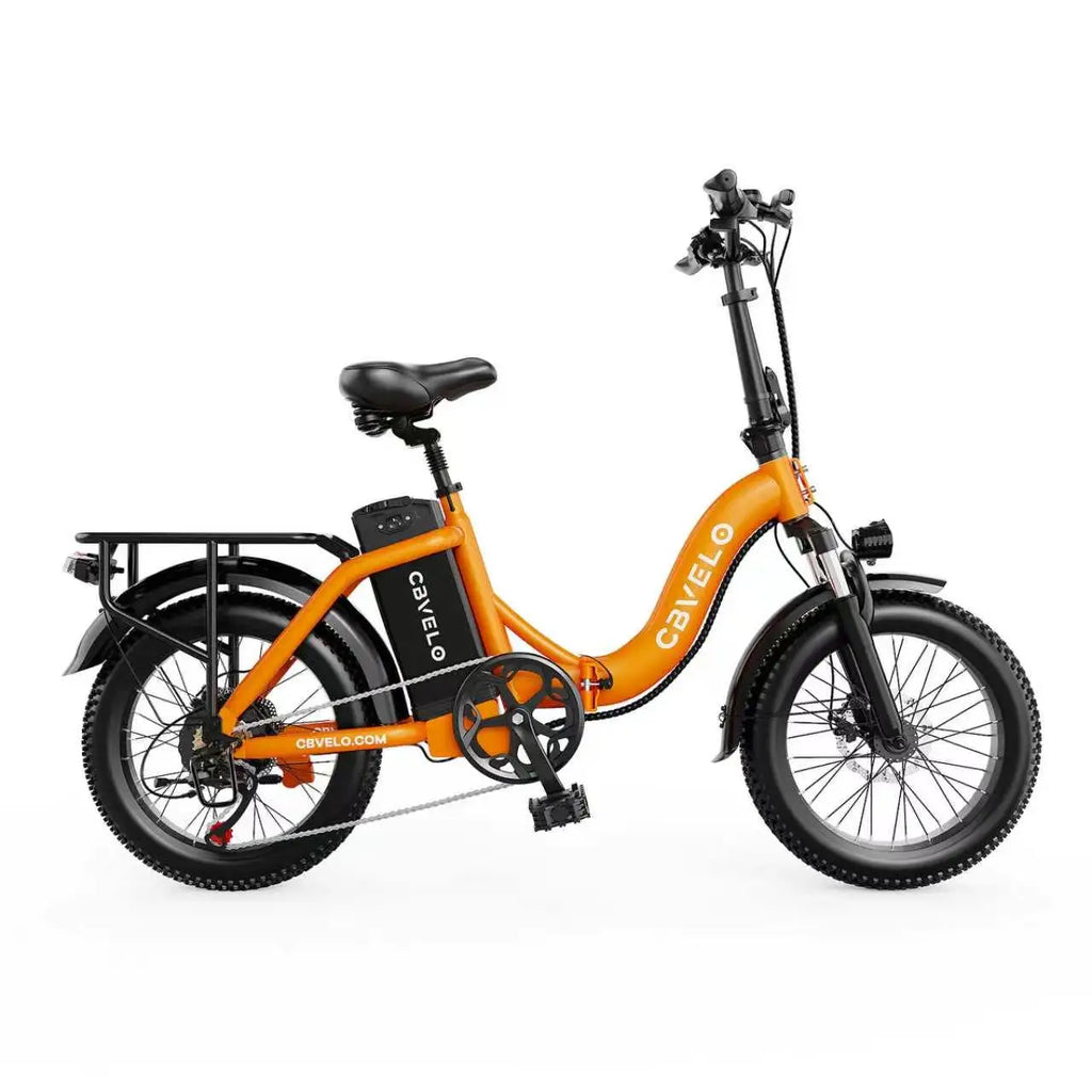 1000W Peak Electric Bike for Adults