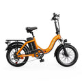 1000W Peak Electric Bike for Adults