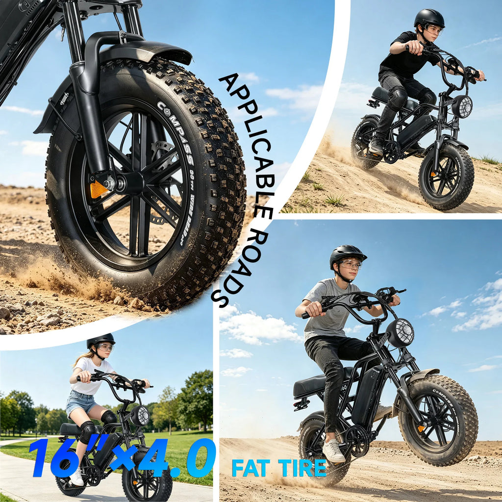 500W Mountain Ebike 36V