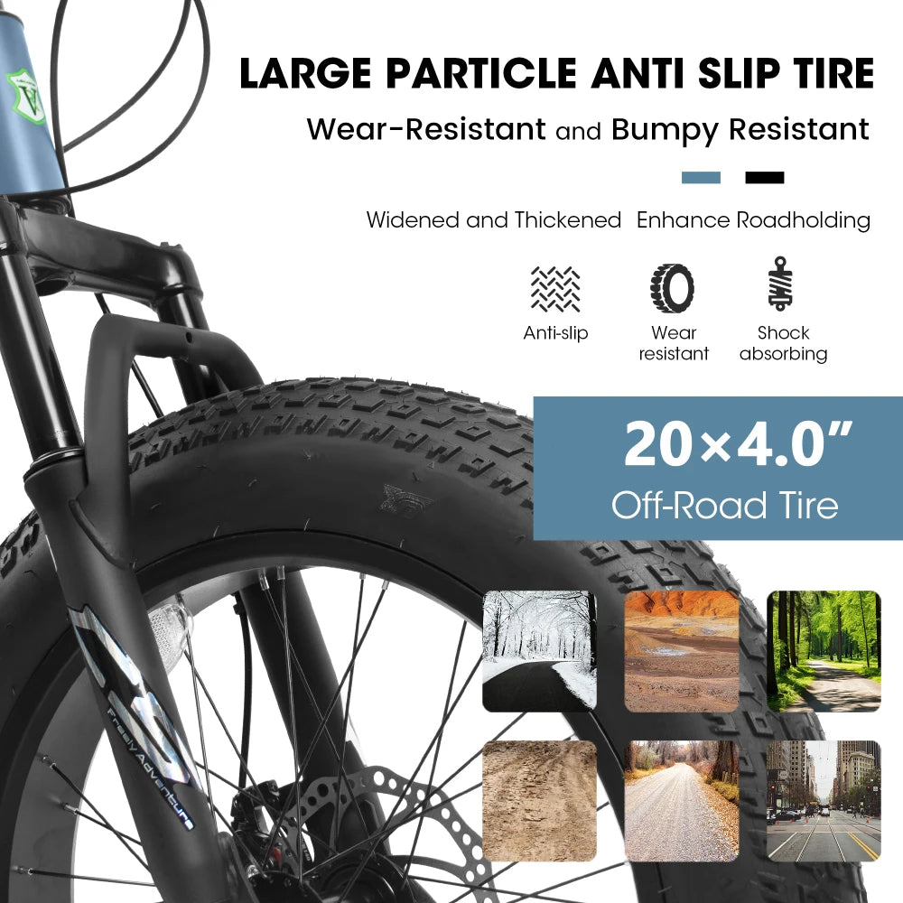 20 Inch Fat Tire Bike Adult 7 Speed