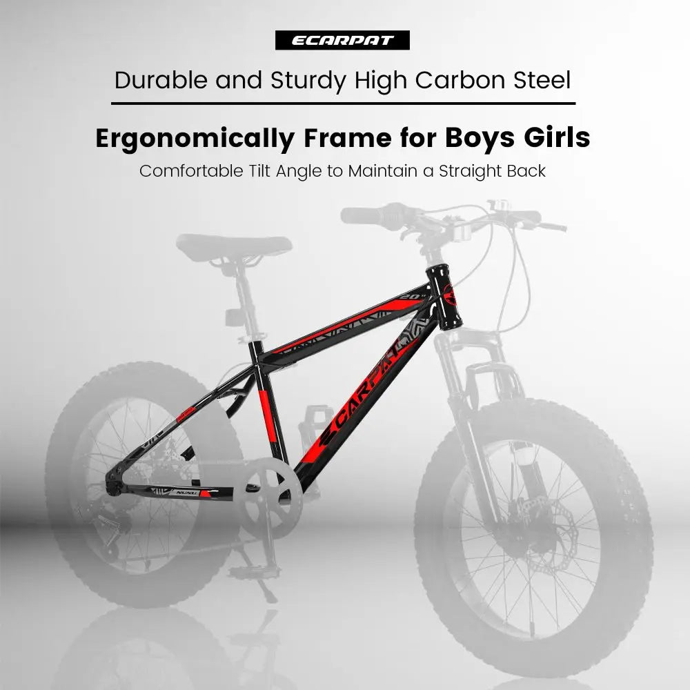 20 Inch Mountain Bike for Kids