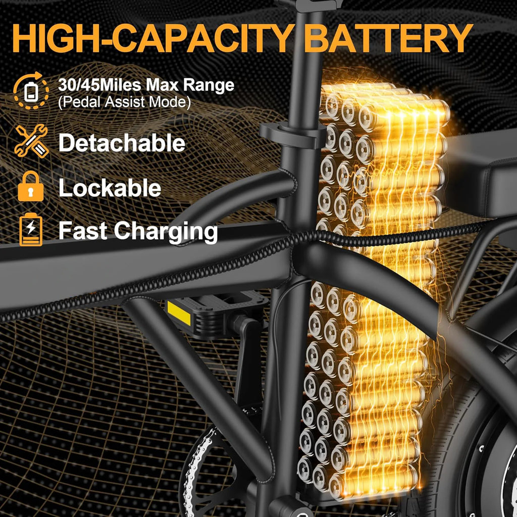 14'' Foldable Electric Bike 500W Motor