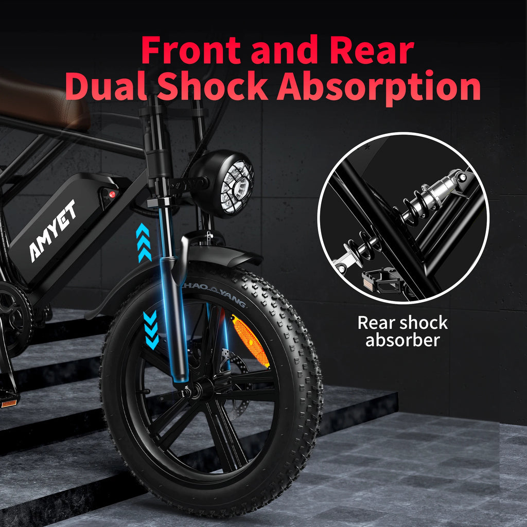 Adults Electric Bike 1000W Motor