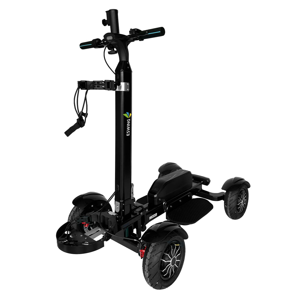 Electric Golf Cart 2400W