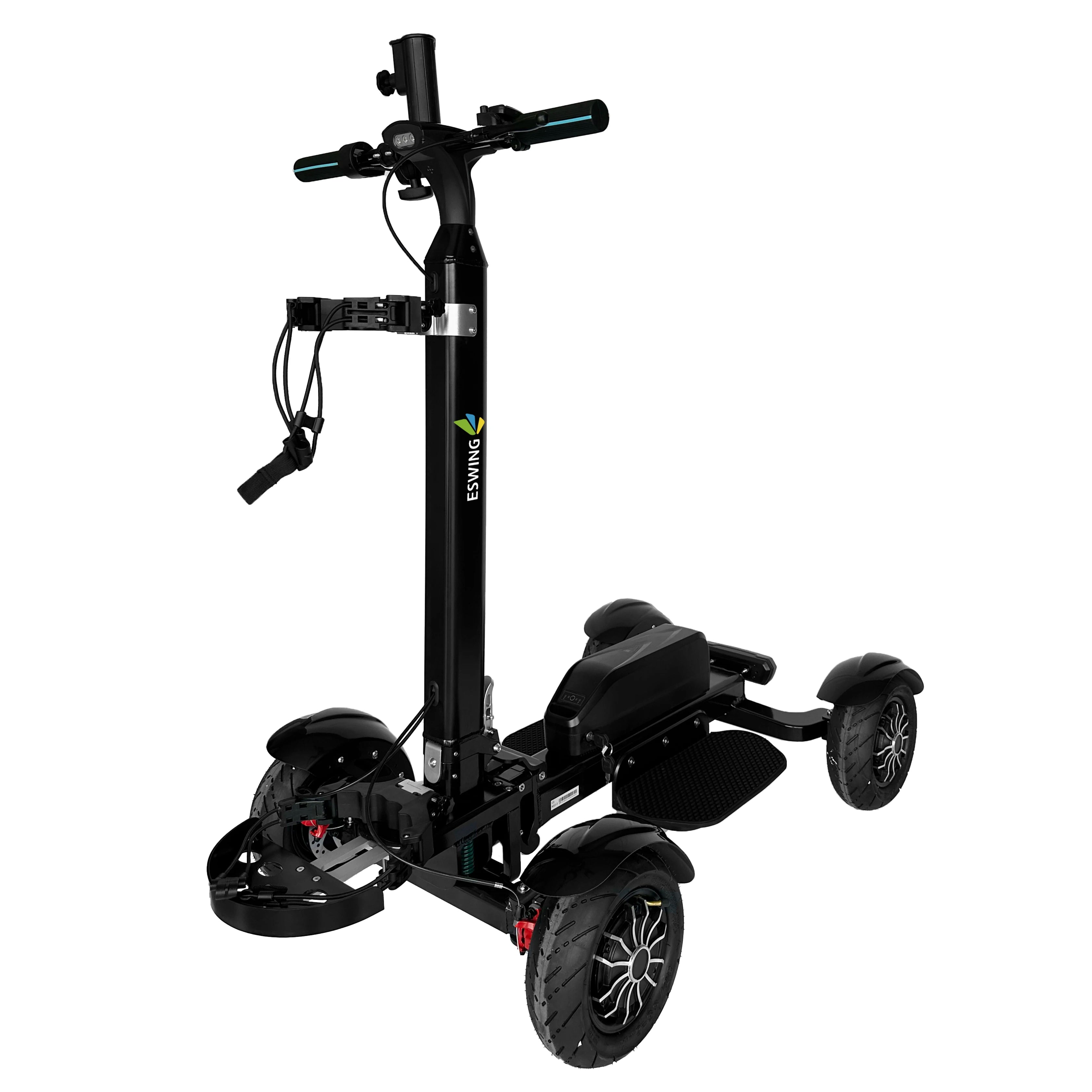Electric Golf Cart 2400W