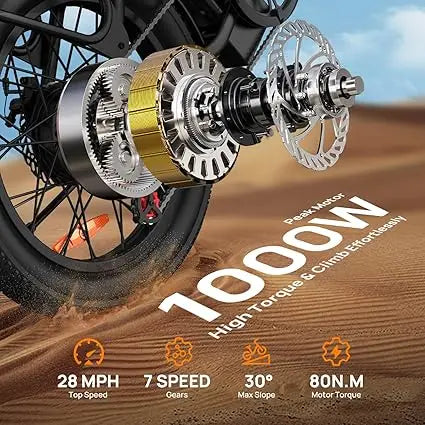 1000W E20 Electric Bike
