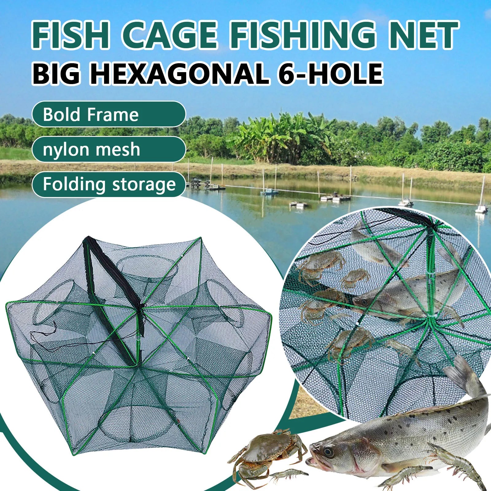 Folding lobster cage  new style