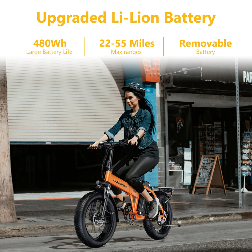 1000W Peak Electric Bike for Adults