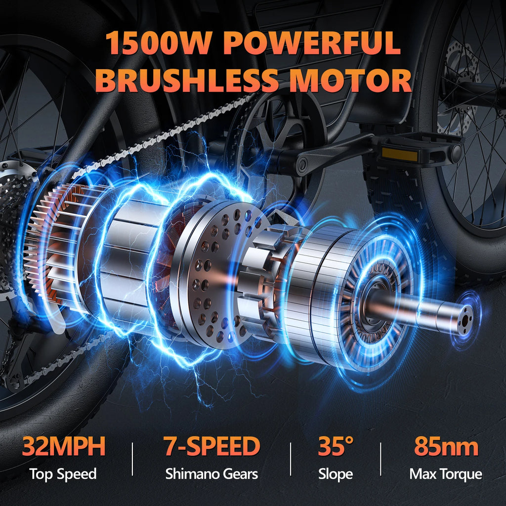 Adult Electric Bicycle 3000w