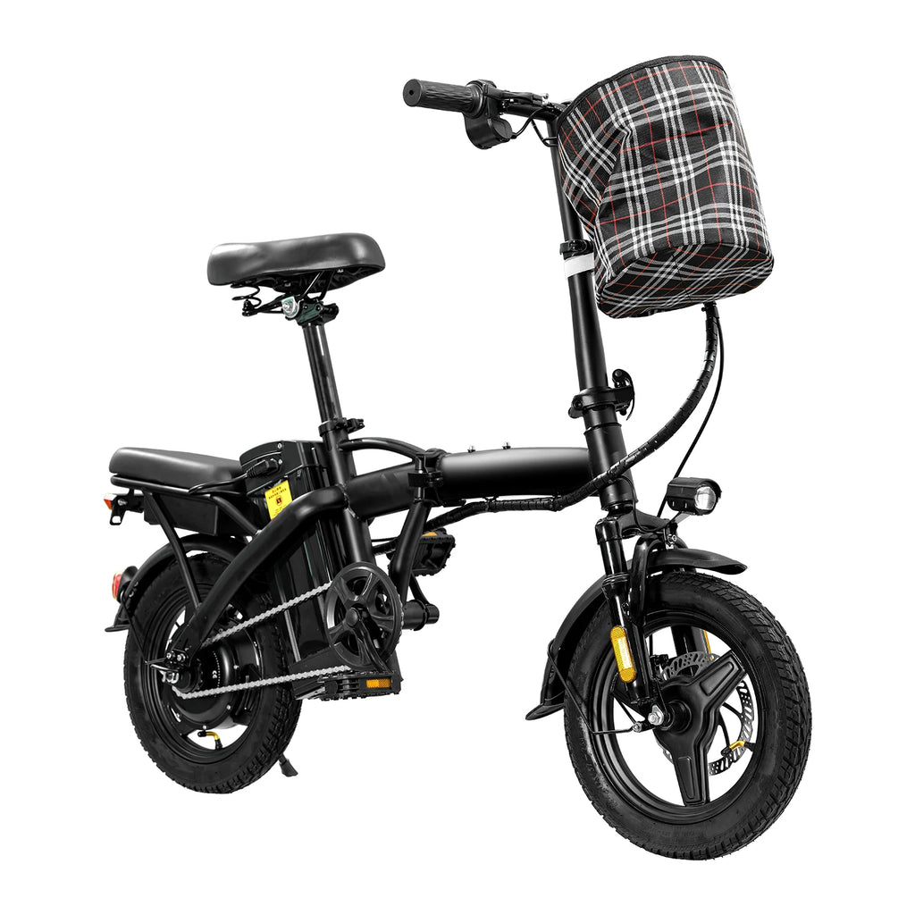 Adult Electric Bike
