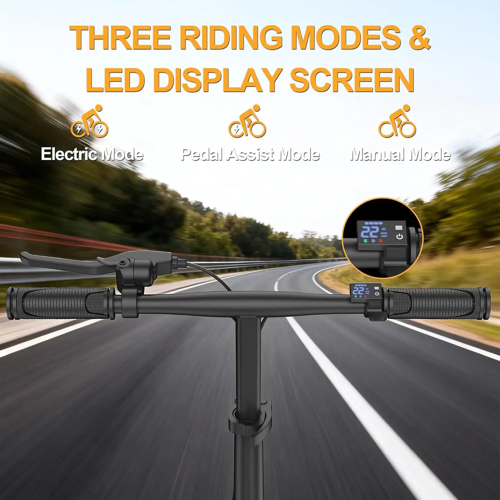 14'' Foldable Electric Bike 500W Motor