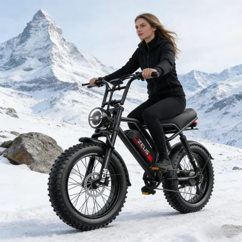 20 Inch Wild Beast Ebike