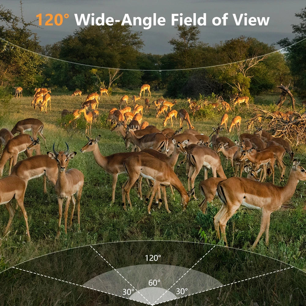 WiFi Trail Camera, 60MP
