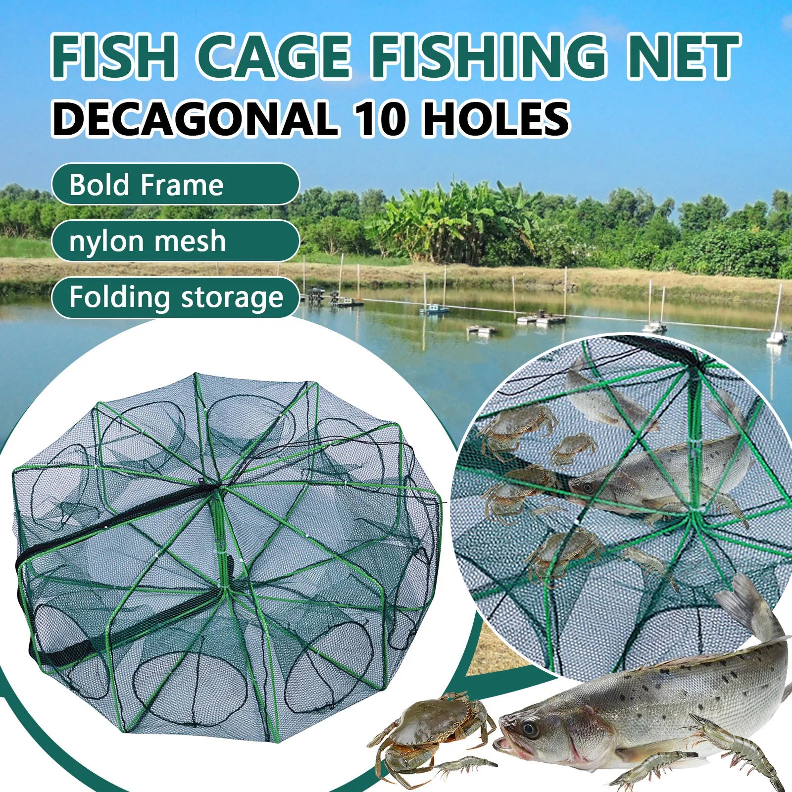 Folding lobster cage  new style