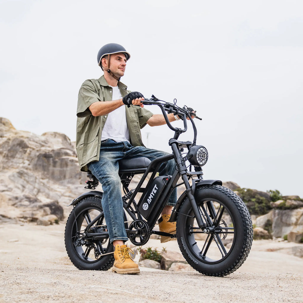 Adults Electric Bike 1000W Motor