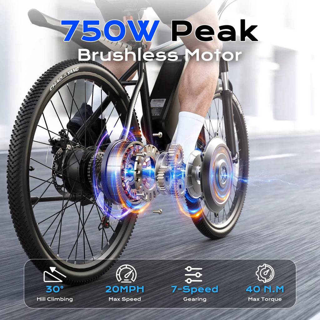 Adult Electric Bike, 750W Peak Motor