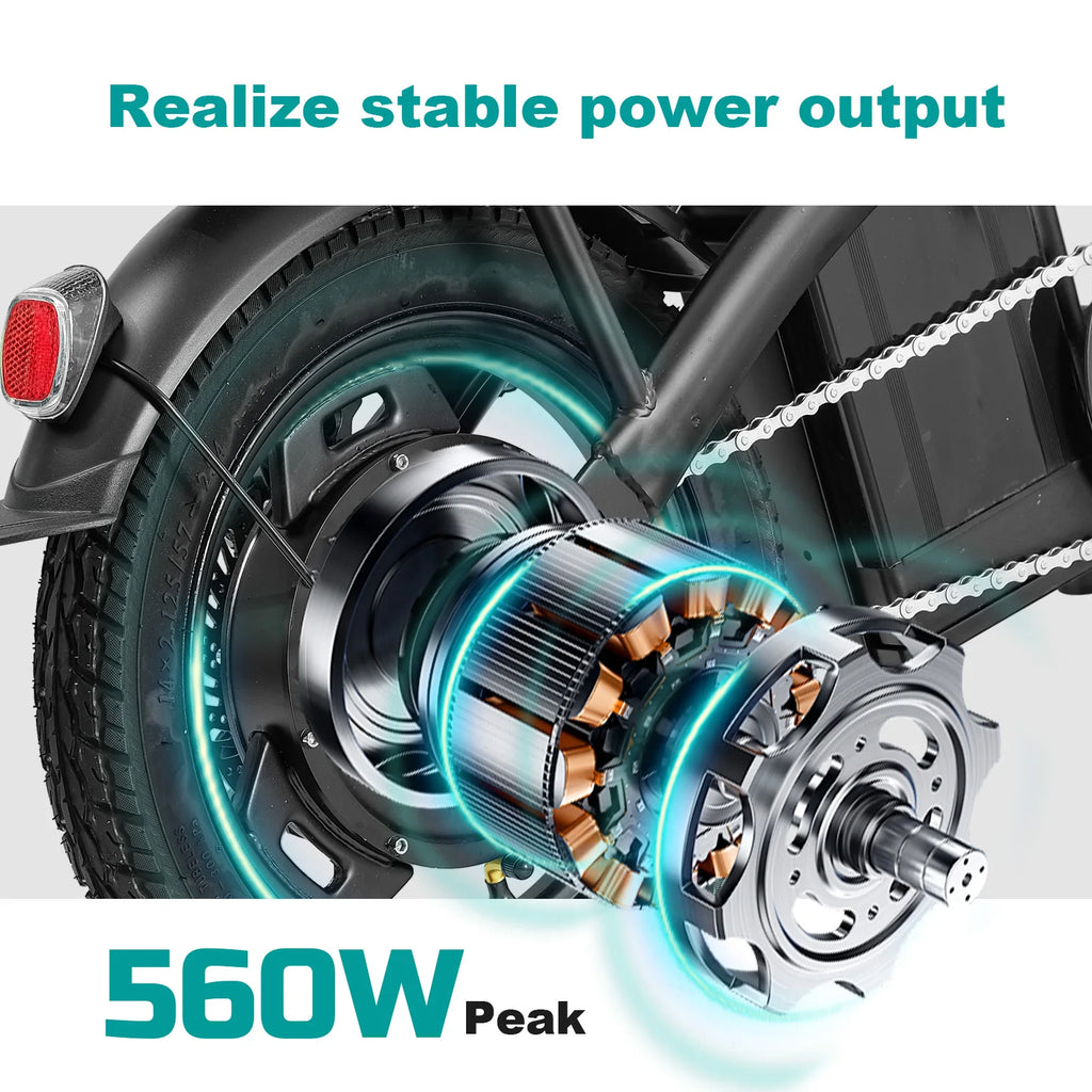 Adult Electric Bike