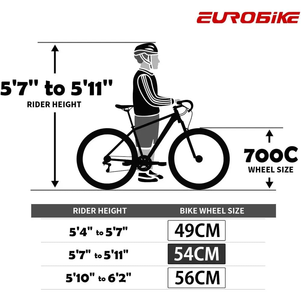 21 Speed Road Bike