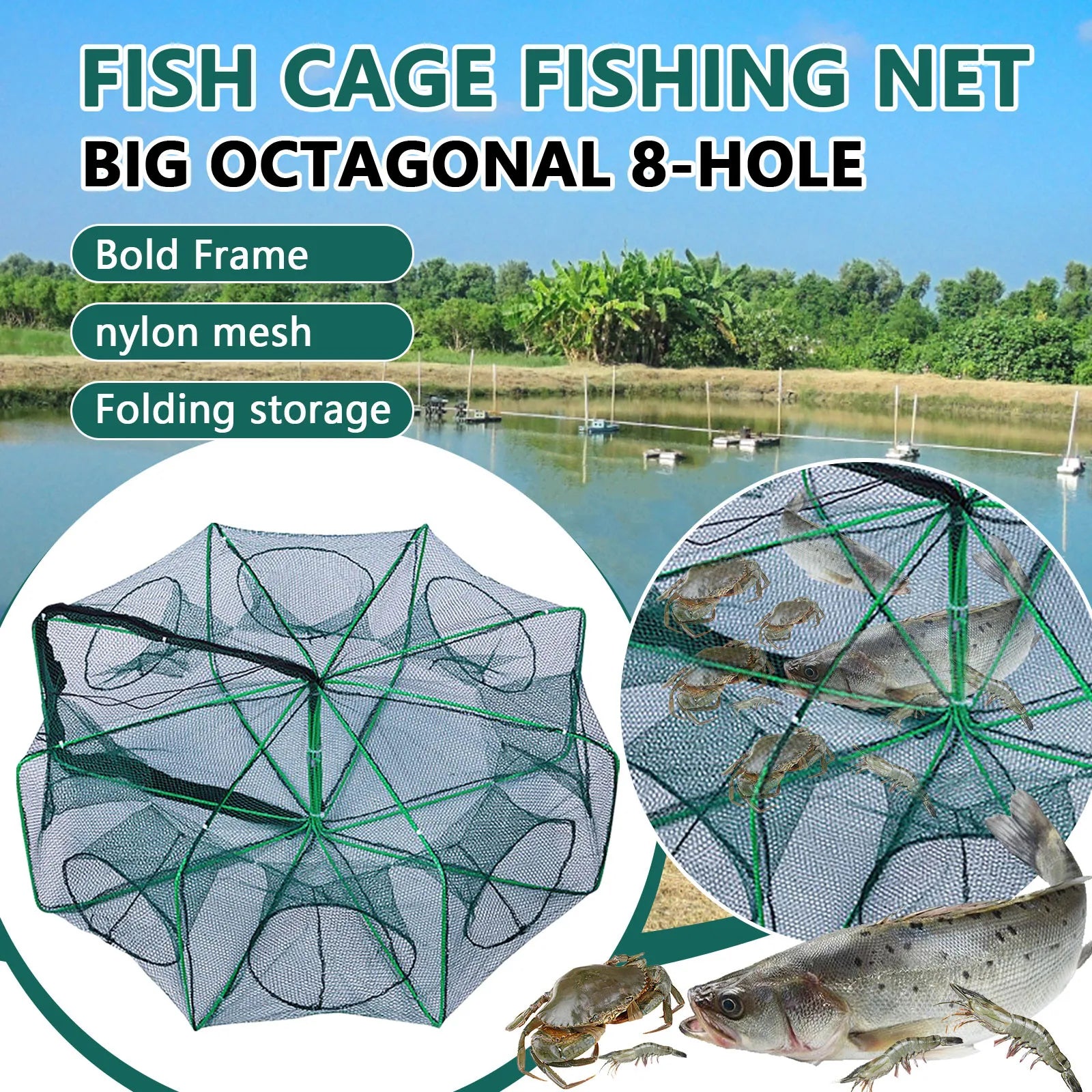 Folding lobster cage  new style