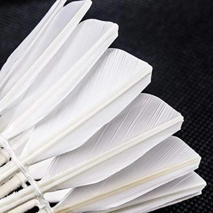 Badminton Shuttlecocks 6 Pack