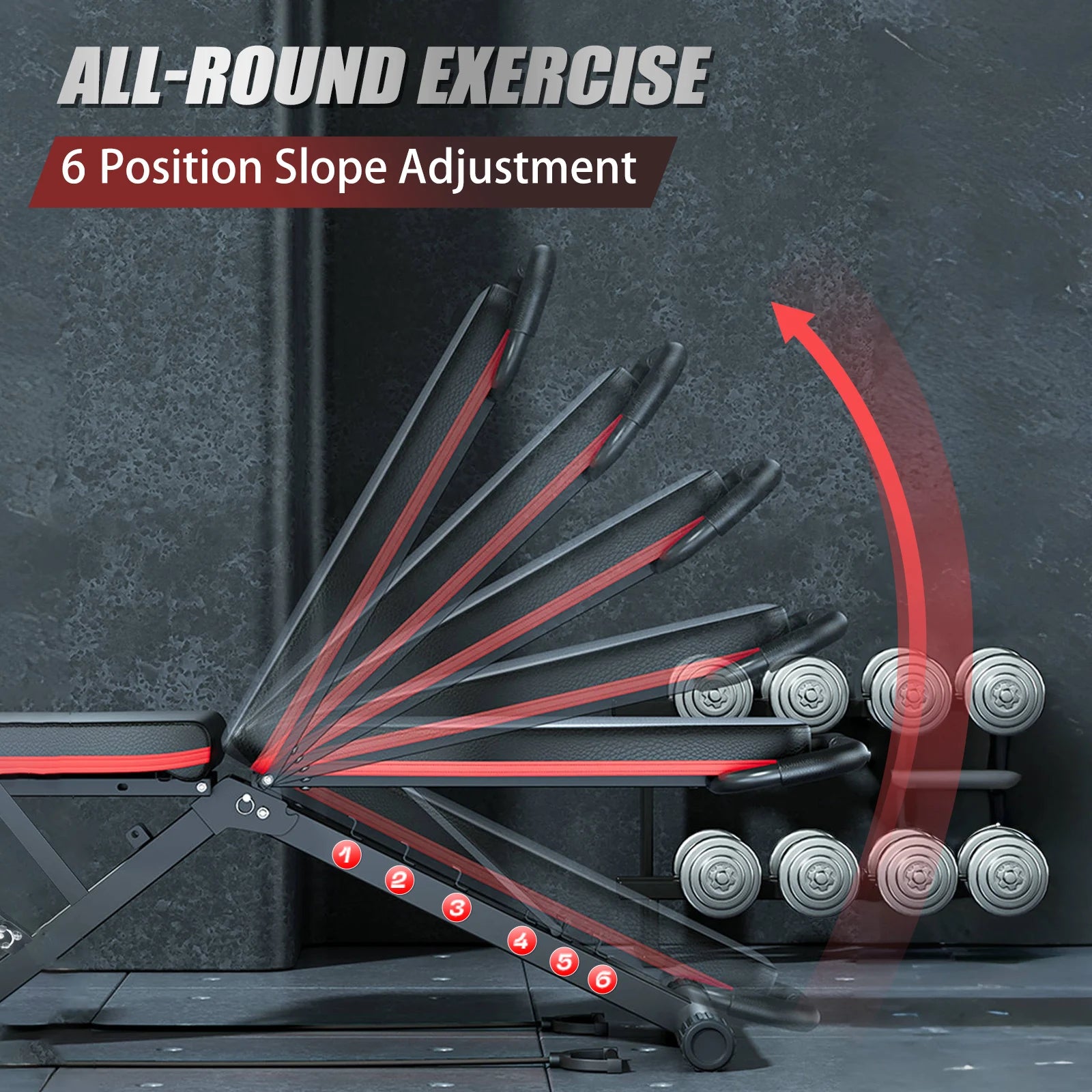 Foldable Weight Bench Dumbbell 14-in-1