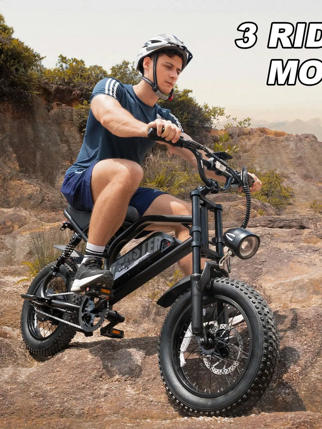 Mountain Electric Bike 16" Fat Tire