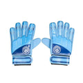 Officially Licensed Goalkeeper Gloves Youth