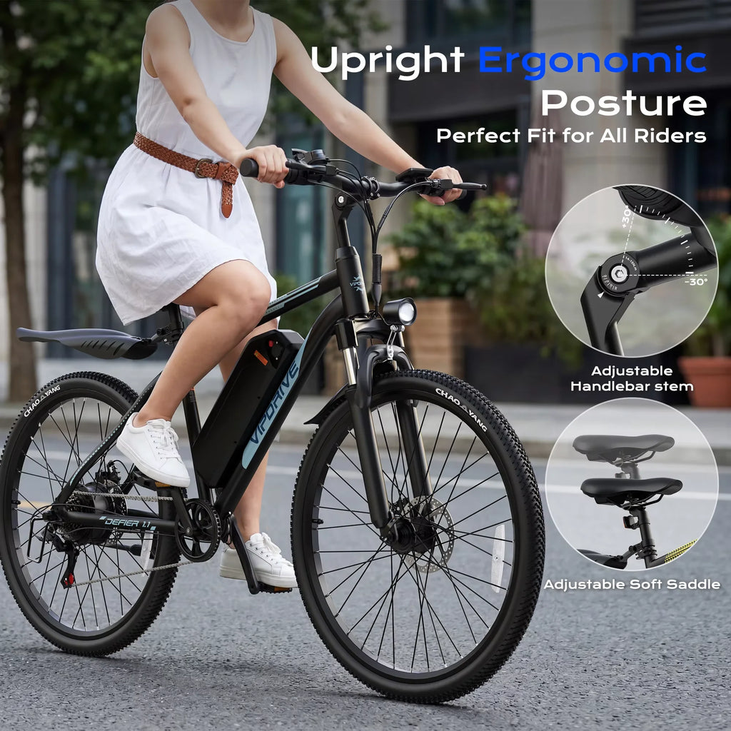 Adult Electric Bike, 750W Peak Motor