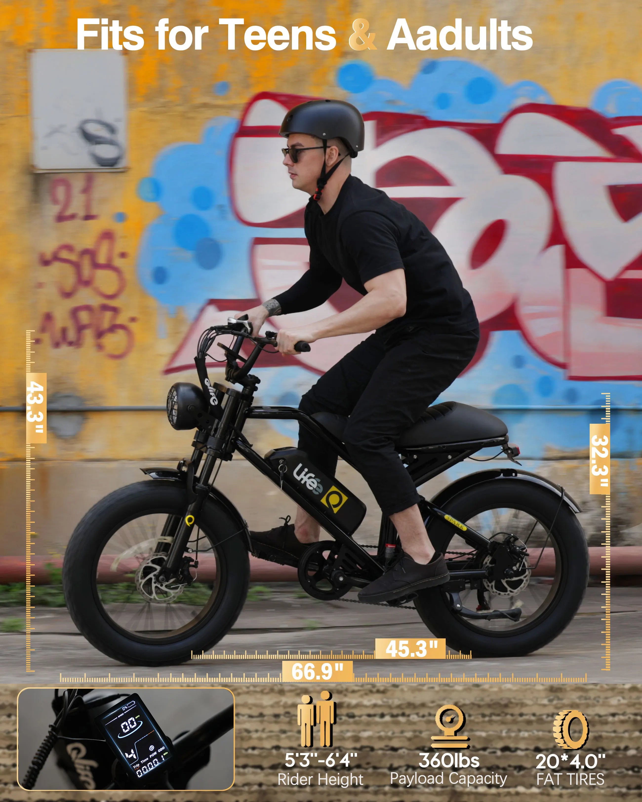 Electric Bike for Adults