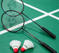 Badminton Racket Set 2 Rackets 2 Shuttlecocks
