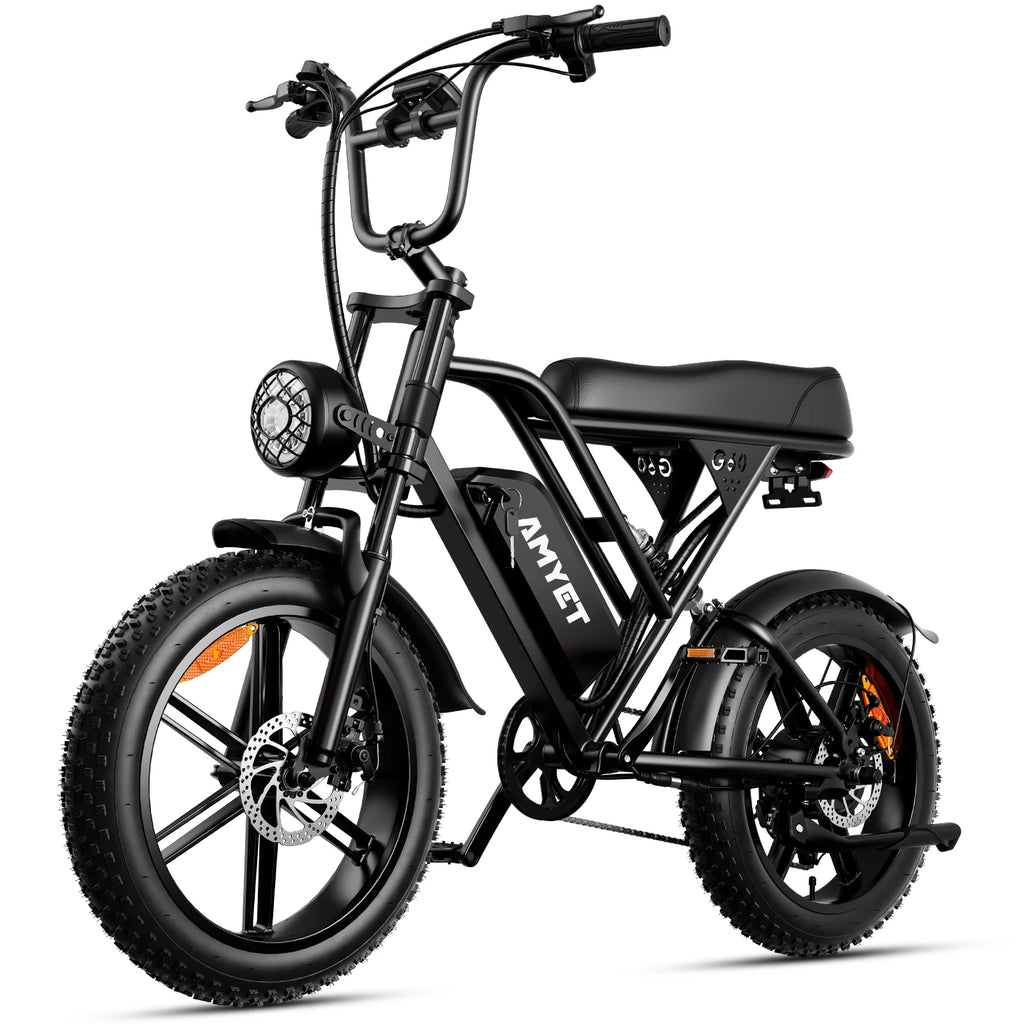 Adults Electric Bike 1000W Motor