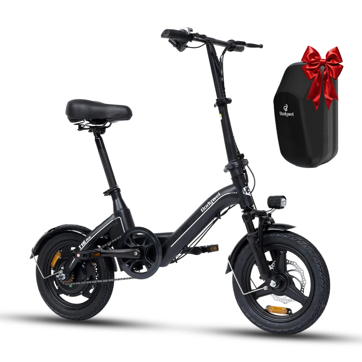 Foldable Electric Bike for Adult 750W Motor