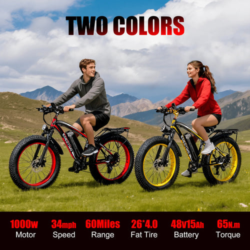 1500W Fat Tire Electric Bike for Adults