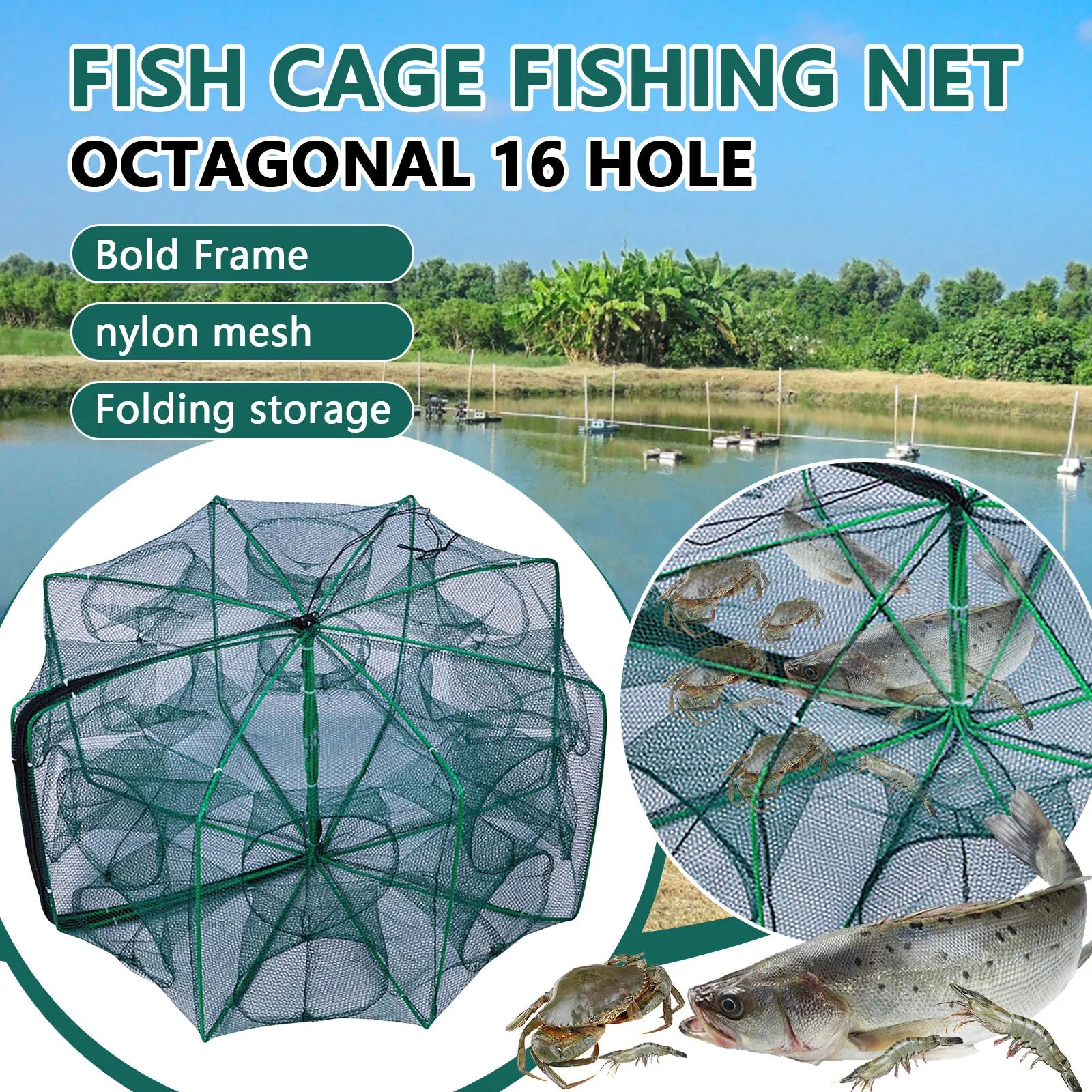 Folding lobster cage  new style