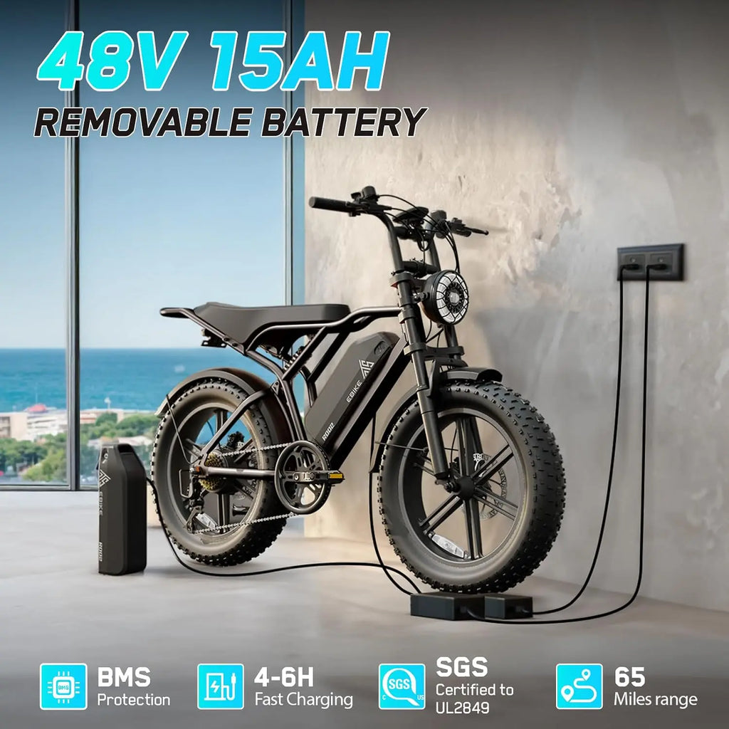 1500W Peak Electric Bike for Adults