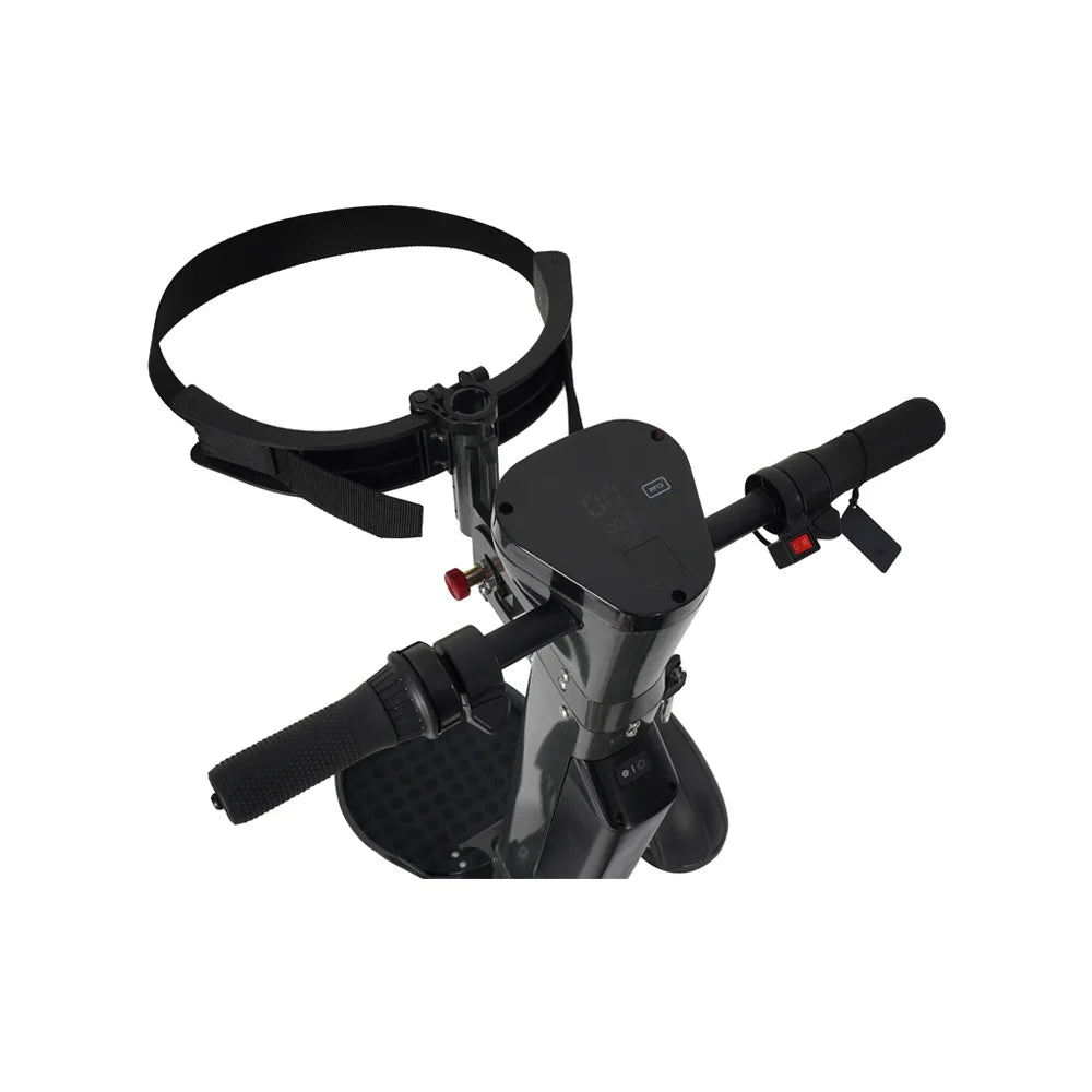 4 Wheel Electric Golf Mobility Scooter