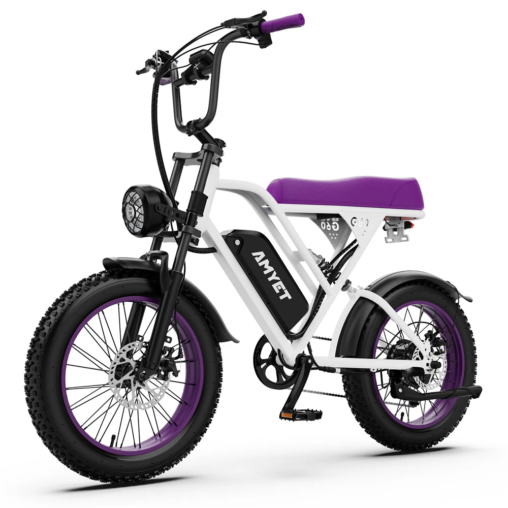 Adults Electric Bike 1000W Motor