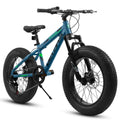 20 Inch Fat Tire Bike Adult 7 Speed