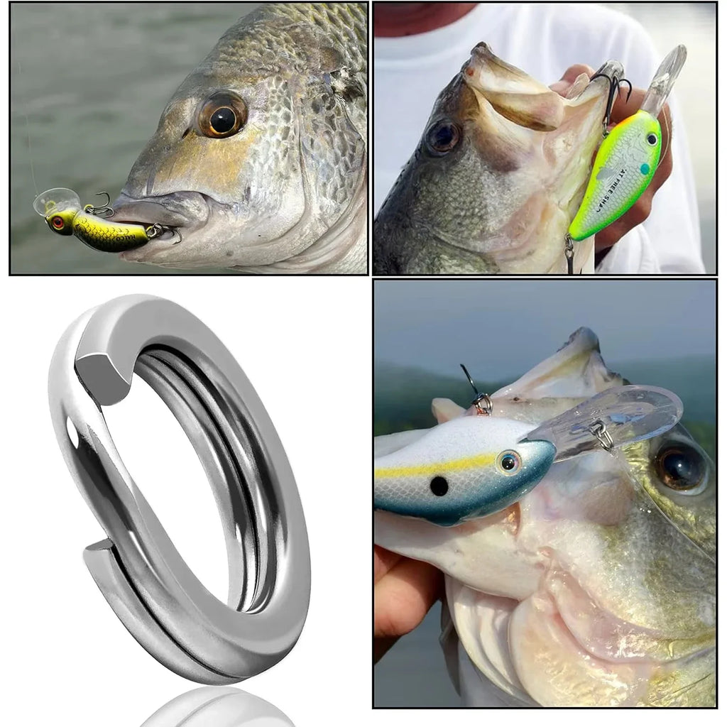 5 Size Stainless Steel Fishing Split Rings