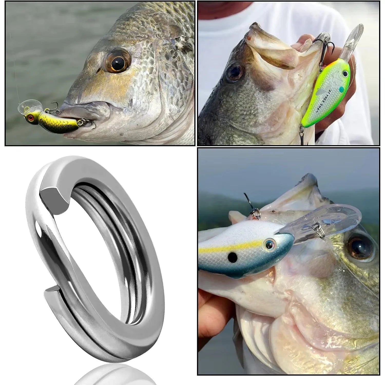 5 Size Stainless Steel Fishing Split Rings