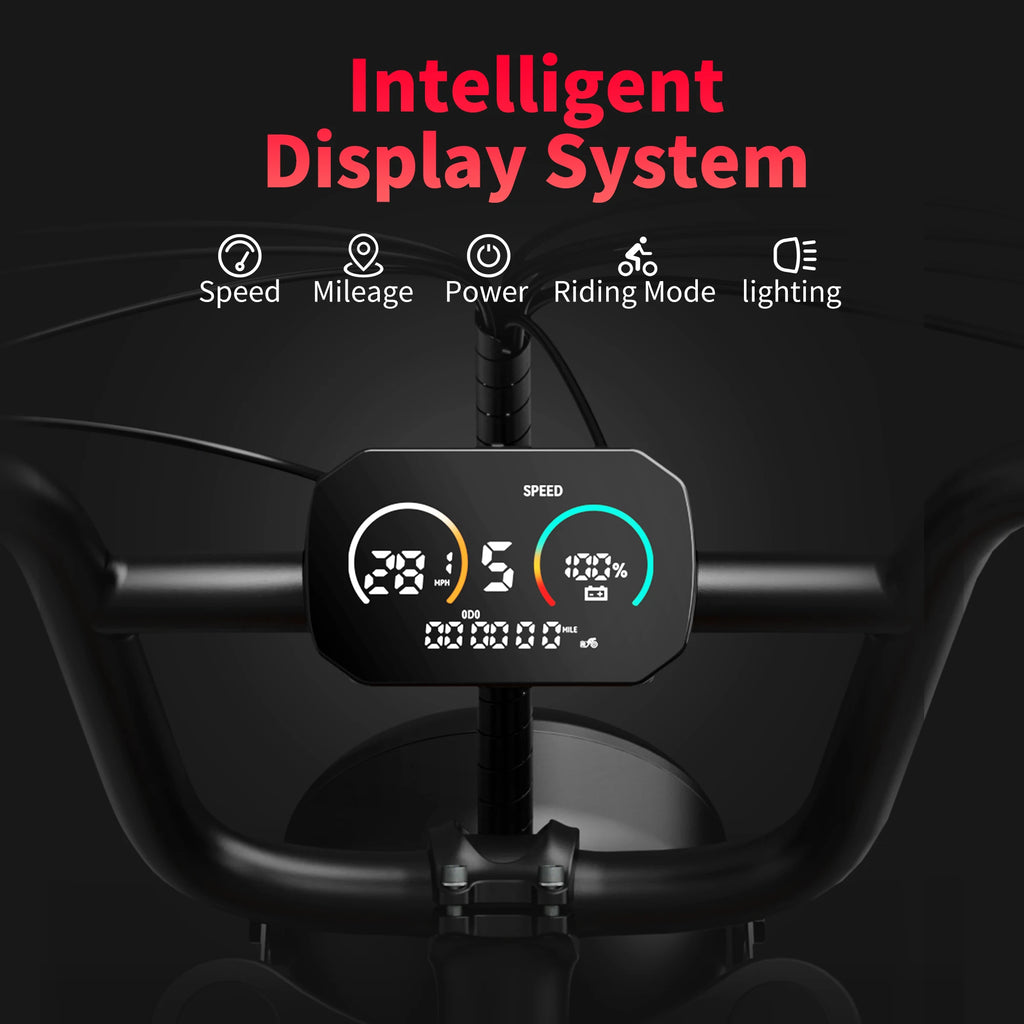 Adults Electric Bike 1000W Motor