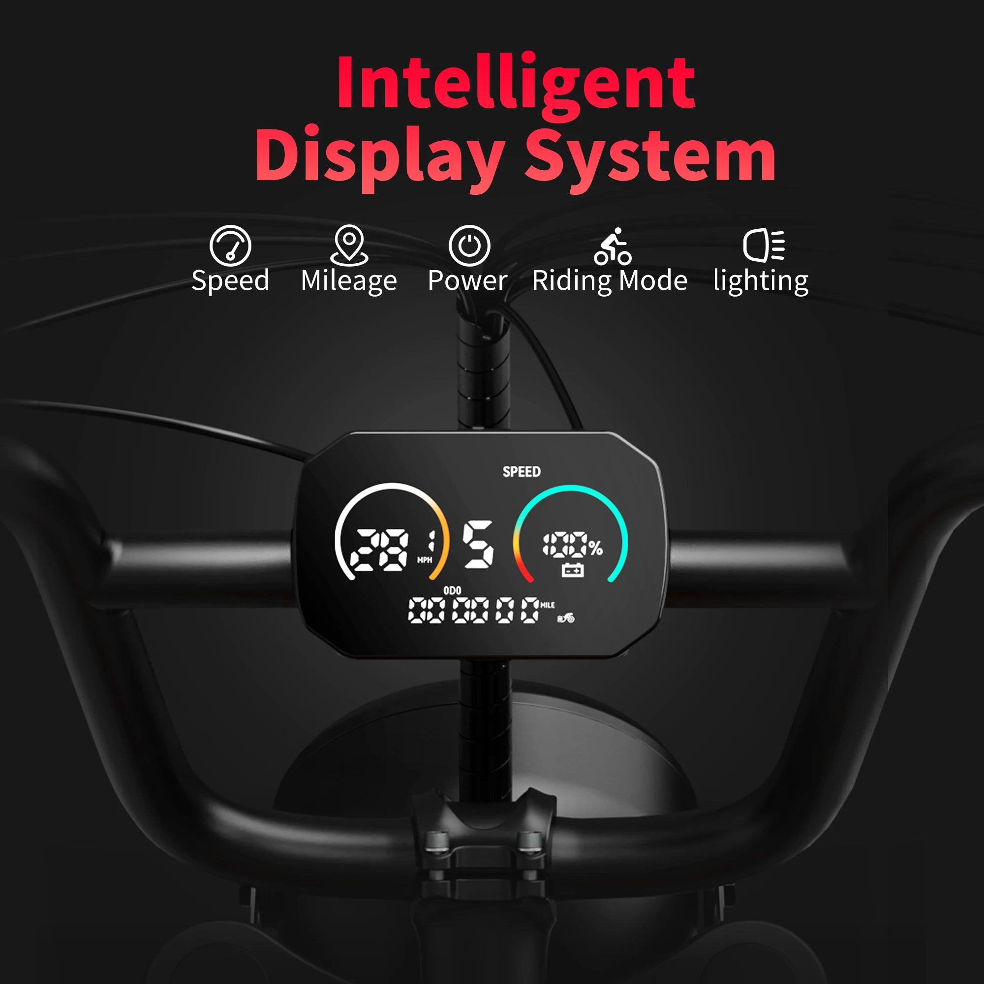 Adults Electric Bike 1000W Motor